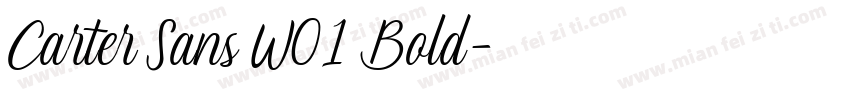 Carter Sans W01 Bold字体转换